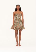 Anturio-Monarca-Amarillo-Mini-Dress